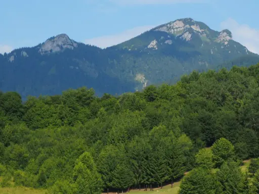 Wielki Chocz góruje nad zielonym lasem.