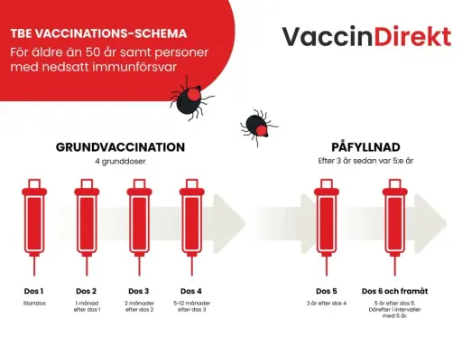 Schema för TBE-vaccination, inklusive grundvaccination och påfyllnad. Viktigt att fylla på grundskydd vaccin för att bibehålla immunitet.
