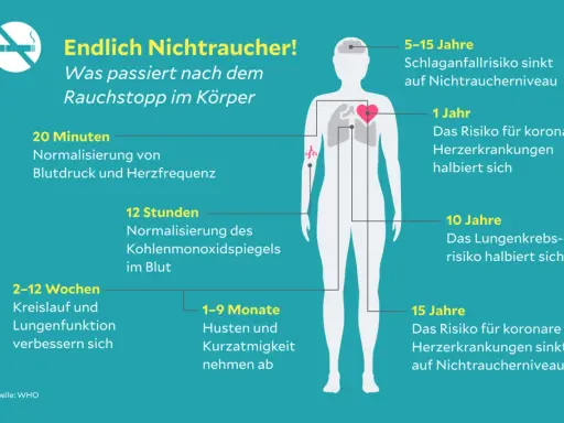 Körperliche Erholung nach Rauchstopp: 10 Jahre nach dem Rauchstopp sinkt das Lungenkrebsrisiko. COPD-Symptome wie Husten nehmen ab.