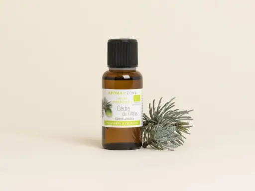 Flacon d'huile essentielle de cèdre de l'Atlas, aux vertus purifiantes et calmantes, posé à côté d'une branche de cèdre.