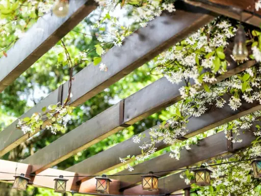 Drewniana pergola z kwitnącym jaśminem i lampkami w stylu lampionów.