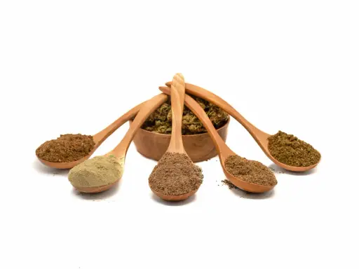 Fünf Holzlöffel mit verschiedenen Pulvern, die aus einer Schale mit getrockneten Pilzen ragen. Ideal für die Unterstützung beim Abnehmen mit Vitalpilzen.