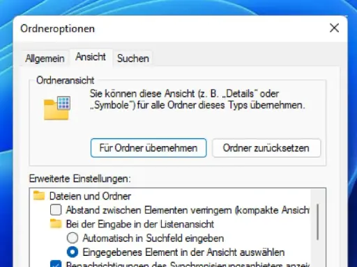 Fenster "Ordneroptionen" in Windows 11. Hier werden die Ansichtseinstellungen für Ordner verwaltet, z.B. ob Details oder Symbole angezeigt werden.