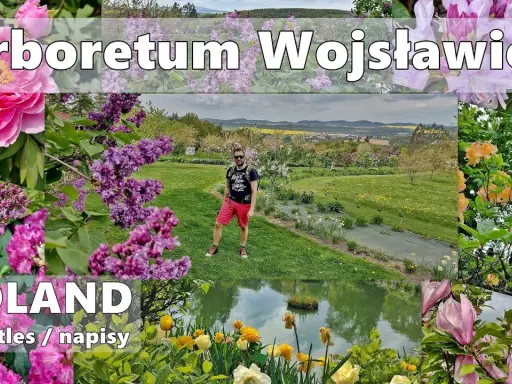 Arboretum Wojsławice: Kiedy jechać, by zobaczyć najpiękniej?