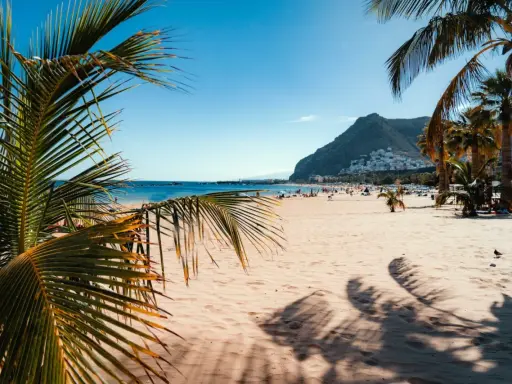 Słoneczne plaże Teneryfy z palmami w tle i górami. Idealne miejsce na relaks.