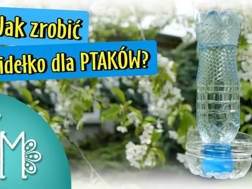 Jak zrobić zraszacz do wody? DIY z butelki PET i PCV tanio i prosto!