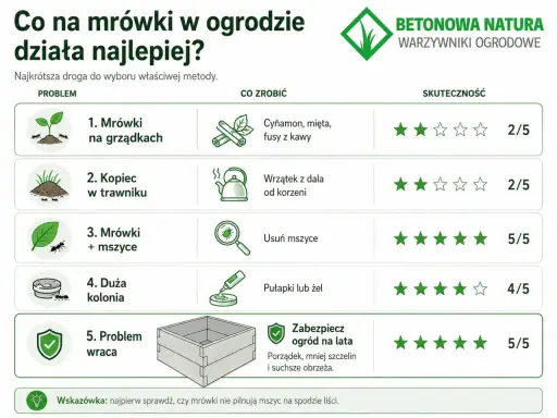 Tabela porównuje metody walki z mrówkami w ogrodzie. Skuteczne sposoby na mrówki to m.in. usuwanie mszyc (5/5) i zabezpieczenie ogrodu na lata (5/5).