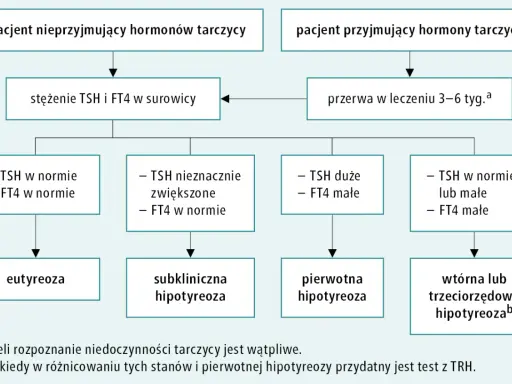 Schemat diagnostyki niedoczynności tarczycy, uwzględniający nowy lek. Analiza TSH i FT4 pomaga rozpoznać stan pacjenta.