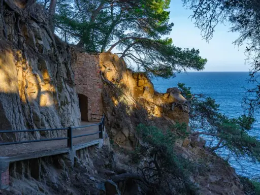 Kamienna ścieżka cami de ronda wije się wzdłuż skalistego wybrzeża. Morze lśni w oddali, a drzewa oplatają skały.