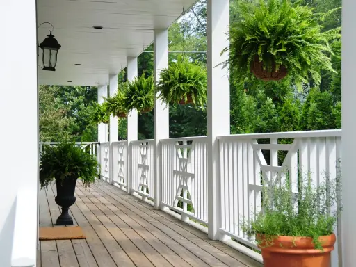 Porche con helechos colgantes y macetas de hierbas, creando un ambiente natural con plantas que ahuyentan los mosquitos.