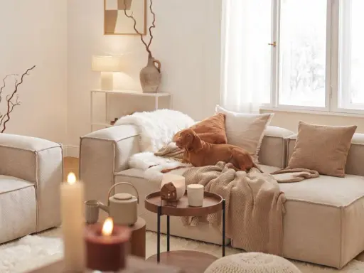 Un chien brun se repose sur un canapé dans un salon cosy. Des coussins douillets, des plaids et des bougies créent une atmosphère chaleureuse.