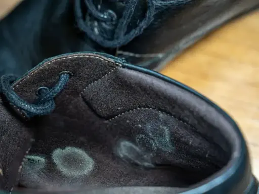 Wnętrze czarnego, skórzanego buta z widocznymi zielonkawymi plamami pleśni. Spleśniałe buty, które wymagają pilnej interwencji.