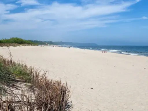 Swarzewo plaża: piaszczysta, szeroka, z wydmami i zielenią. Błękitne niebo, spokojne morze.