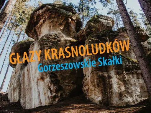 Głazy krasnoludków w Gorzeszowskich Skałkach, potężne formacje skalne wśród drzew, wyglądają jak kamienne cuda natury.