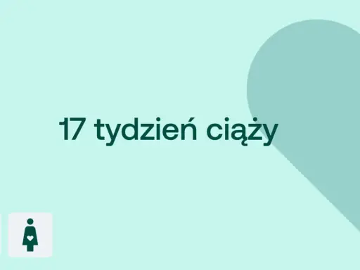 17 tydzień ciąży. Dziecko waży ok. 150g. Ikony D+ i kobiety w ciąży.
