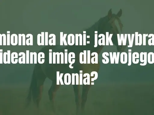 Jak nazwać konia? Znajdź idealne imię i poznaj zasady!