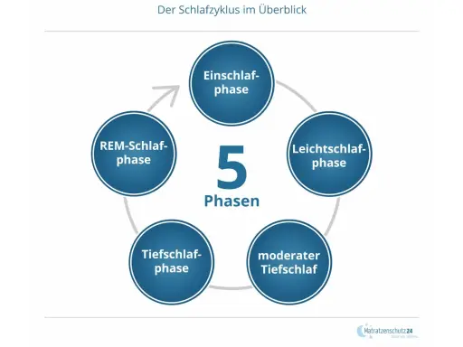 Der Schlafzyklus hat 5 Phasen: Einschlaf-, Leichtschlaf-, moderater Tiefschlaf-, Tiefschlaf- und REM-Schlaf-Phase.