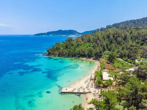 Malownicza plaża z turkusową wodą i sosnowym lasem. Idealne miejsce na relaks i odkrywanie atrakcji Thassos.
