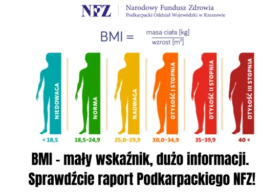 Grafika pokazuje skalę BMI od niedowagi (poniżej 18,5) do otyłości III stopnia. Wskaźnik BMI 15 oznacza znaczną niedowagę.