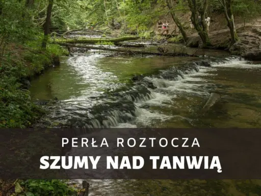 Malownicze szumy nad Tanwią, gdzie woda spływa po kamieniach, tworząc kaskady. W tle zielony las i ścieżka z kładką.
