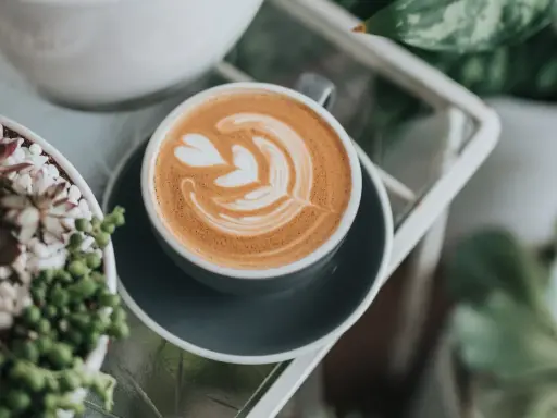 Ein **Cappuccino mit Filterkaffee**-Aroma, verziert mit Latte Art, neben Sukkulenten.