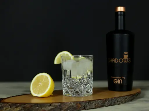 Erfrischender Gin Tonic mit Zitrone, Eis und einer Flasche "Shadows" Gin. Die perfekten gin tonic zutaten für einen lauen Abend.