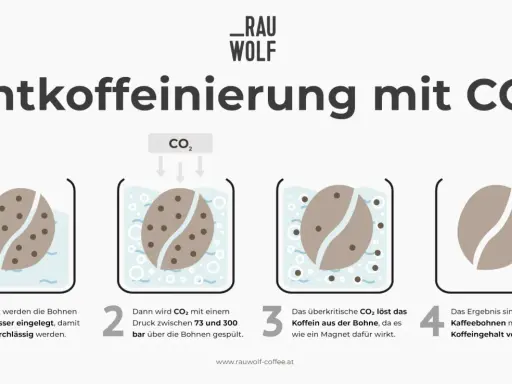 Entkoffeinierung von Kaffee mit CO₂. Ideal für Menschen mit Bluthochdruck, da das Ergebnis koffeinfreie Kaffeebohnen sind.
