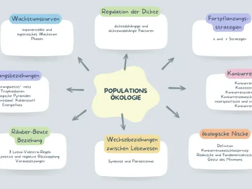 Mindmap zur Populationsökologie: Wachstum, Regulation, Fortpflanzung, Konkurrenz, Räuber-Beute-Beziehungen, Stoffkreislauf, Nischen.