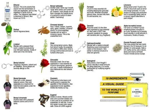 Linalool, z rodziny mięty, o przyjemnym kwiatowym zapachu, jest składnikiem wielu perfum.