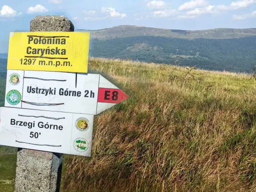 Połonina Caryńska, 1297 m n.p.m. Znaki wskazują drogę do Ustrzyk Górnych (2h) i Brzegów Górnych (50').