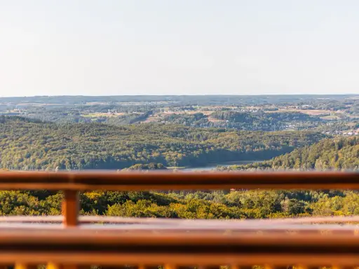 Widok z kaszubskiej wieży widokowej na zalesione wzgórza i jezioro.