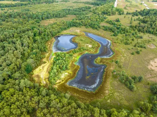 Luftaufnahme eines naturbelassenen **witte venn** mit dunklen Wasserflächen, umgeben von üppigem Grün und Bäumen.