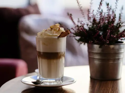 Ein hoher Frappe Espresso mit Sahne, Zimt und einem Keks. Daneben eine Topfpflanze.