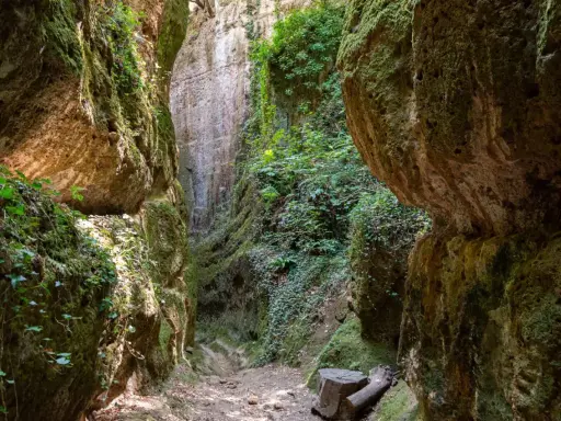 Sentiero tra le suggestive cave etrusche di Pitigliano, con pareti rocciose ricoperte di muschio e vegetazione.