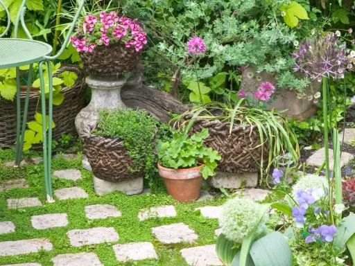 Jardin fleuri avec des paniers en osier, des pierres et des fleurs violettes. Un chemin de dalles envahi par la verdure, idéal pour savoir comment éviter que la mousse revienne.