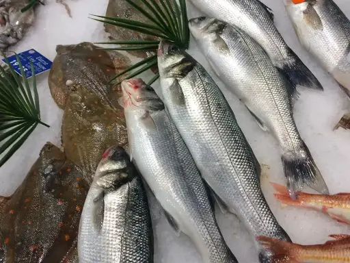 Poissons frais sur glace, prêts pour une délicieuse marinade. Loups de mer argentés et poissons plats tachetés.