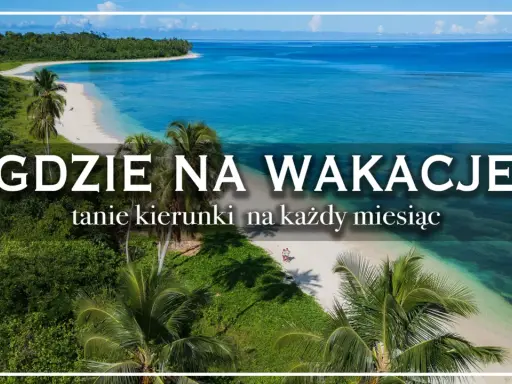 Gdzie tanio na wakacje za granicę? Tropikalna plaża z palmami i turkusową wodą zaprasza na wymarzone wczasy.