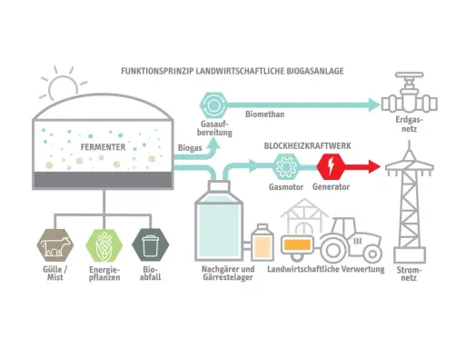 Schema einer Biogasanlage: Gülle, Energiepflanzen und Bioabfall werden im Fermenter zu Biogas, das aufbereitet und in einem Blockheizkraftwerk zur Stromerzeugung genutzt wird. So entstehen erneuerbare Gase.