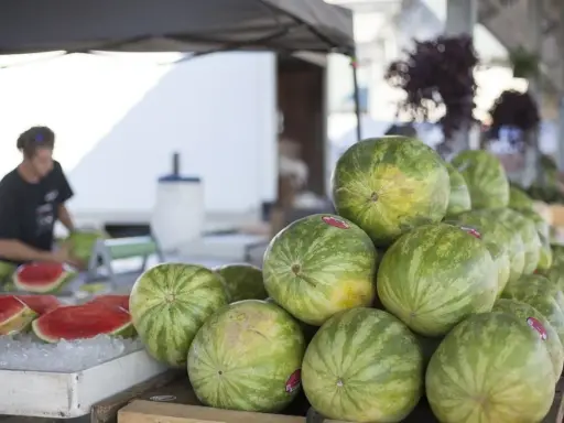 Stoisko z arbuzami na targu. Widać stos zielonych arbuzów i kilka pokrojonych na talerzu z lodem. Sprzedawca pokazuje, jak pokroić arbuza.