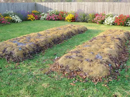 Deux plates-bandes en lasagne, couvertes de feuilles mortes et de paillis, attendent d'être plantées dans un jardin fleuri.