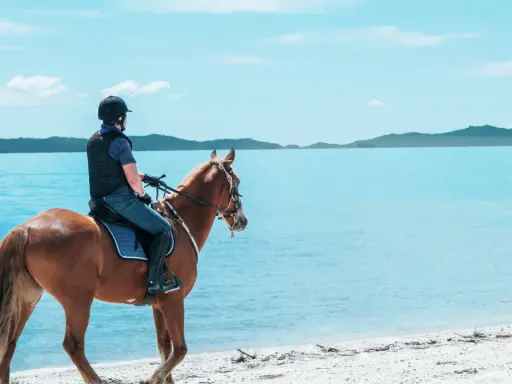 Agroturystyka nad jeziorem: przejażdżka konna po plaży. Piękny dzień, błękitne niebo i spokojna woda.