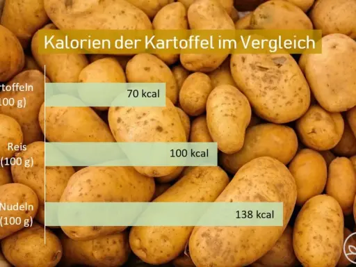 Vergleich: Kartoffel (70 kcal/100g) vs. Reis (100 kcal/100g) und Nudeln (138 kcal/100g). Kartoffel kalorien sind am niedrigsten.