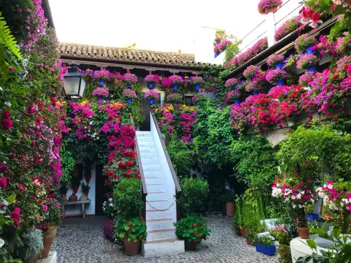 Blühende patios in Córdoba, ein Meer aus bunten Blumen, das sich über Wände und Treppen rankt.
