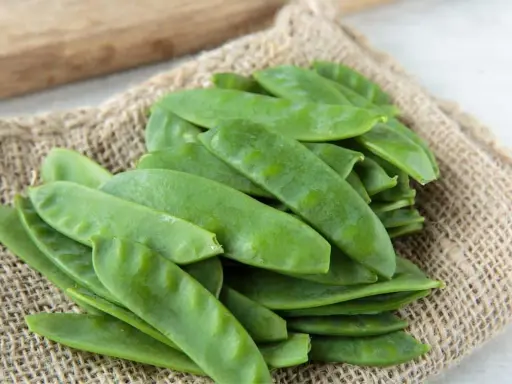 Gourmands pois verts frais, prêts pour un semis d'automne.