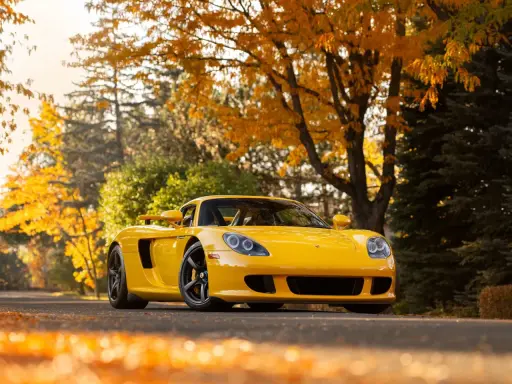 Gelber Porsche Carrera GT parkt unter Herbstlaub.