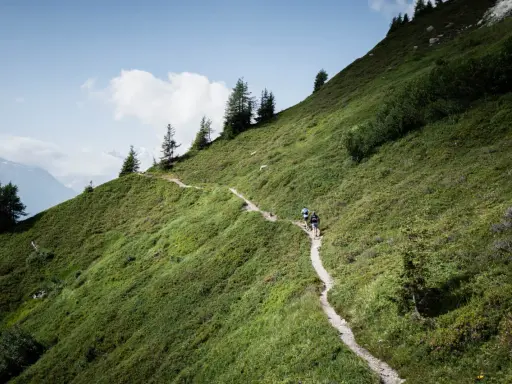 Zwei Wanderer genießen das bergauf laufen auf einem schmalen Pfad durch eine grüne Berglandschaft mit vereinzelten Bäumen und einem blauen Himmel.