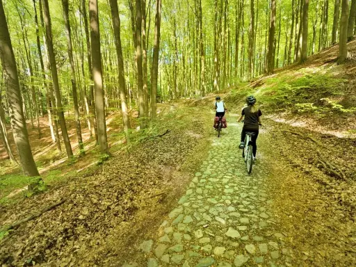 Dwie osoby na rowerach przemierzają malownicze ścieżki rowerowe lubuskie, otoczone bujnym lasem.