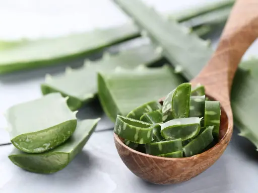 Aloe vera a fette in un cucchiaio di legno, pronte per scoprire come applicare aloe vera sulla pelle per un sollievo naturale.