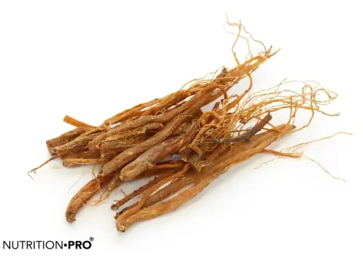 Racines de ginseng séchées, connues pour leurs ginseng bienfaits homme, sur fond blanc.