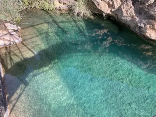 Cristalinos charcos de quesa, con rocas y vegetación en los bordes, reflejando la luz del sol.